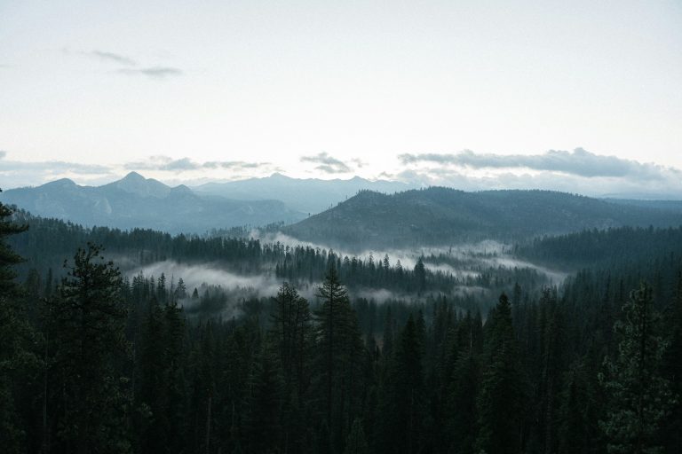 HOW TO MAXIMIZE THE BENEFIT FROM THE INTERPRETED DREAM.